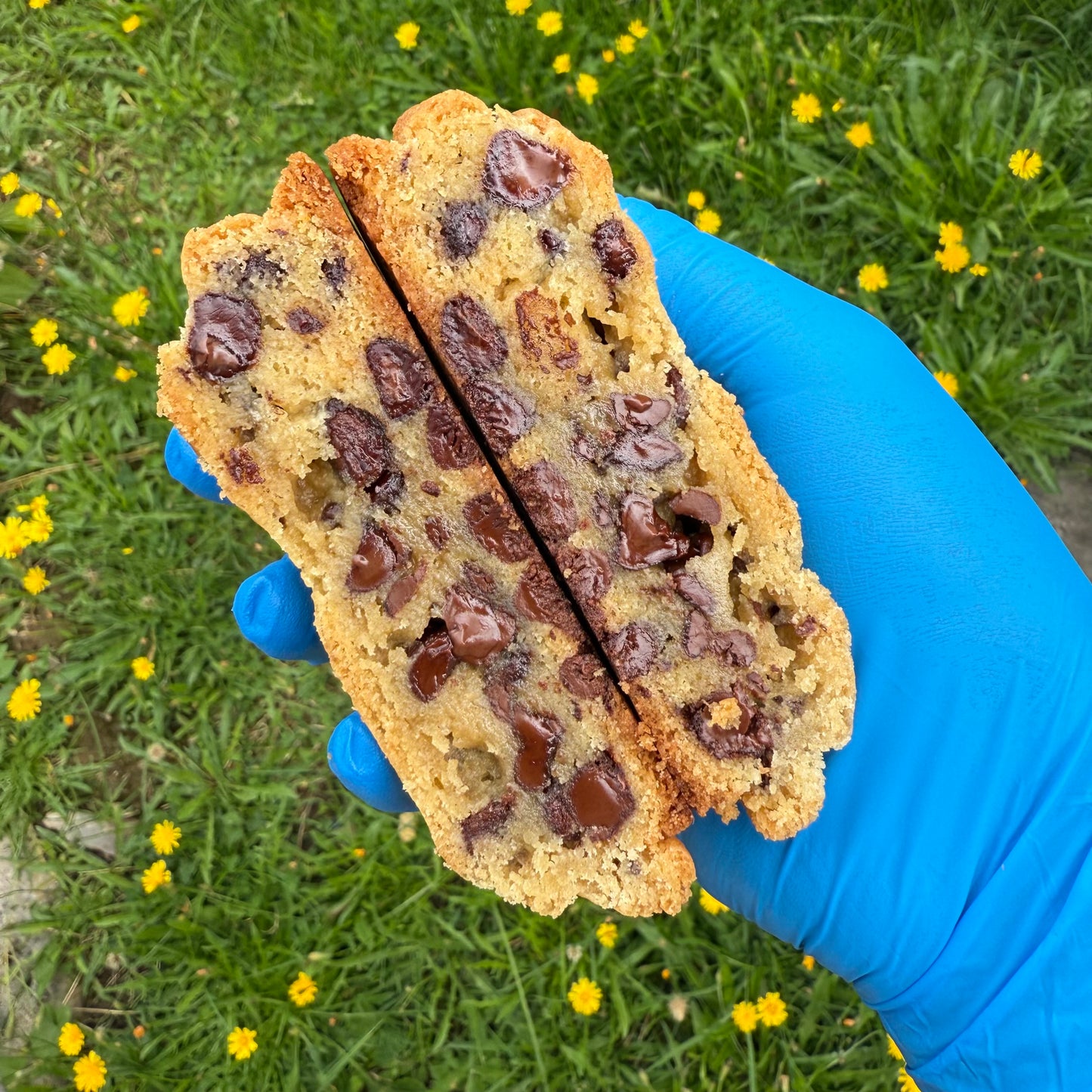Classic Chocolate Chips